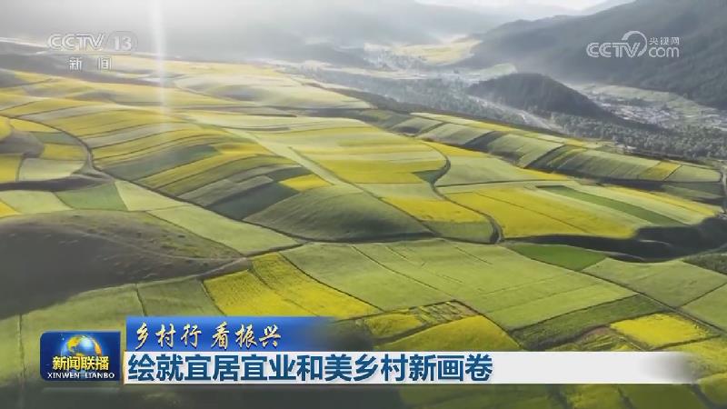 【乡村行 看振兴】绘就宜居宜业和美乡村新画卷