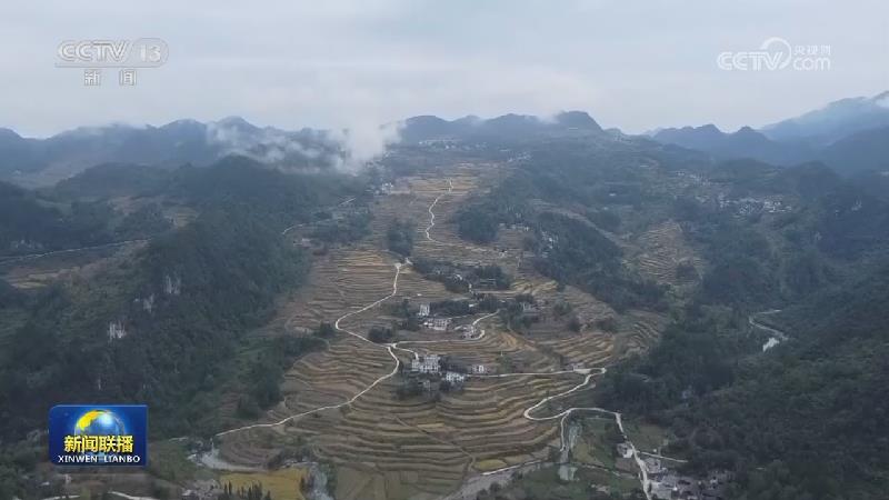 秋粮收获加紧进行 各地确保颗粒归仓