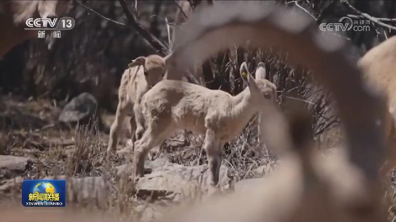 大型纪录片《通向繁荣之路》今晚播出第五集《向新而行》