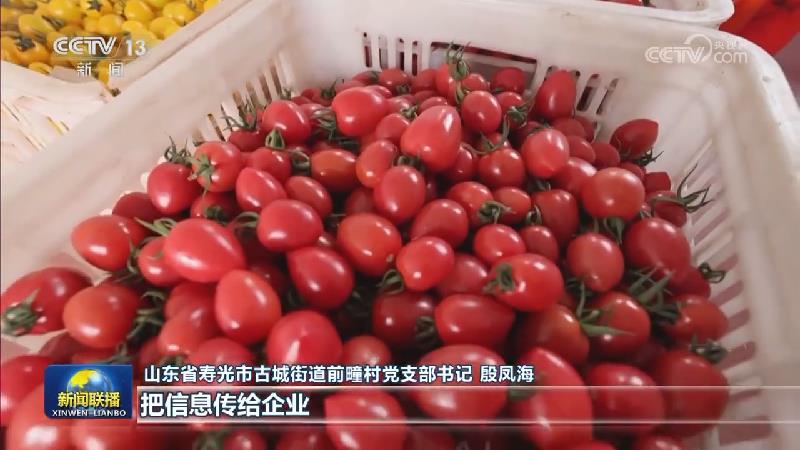 【新思想引领新征程】加快建设农业强国 扎实推进农业现代化