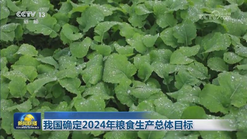 我国确定2024年粮食生产总体目标