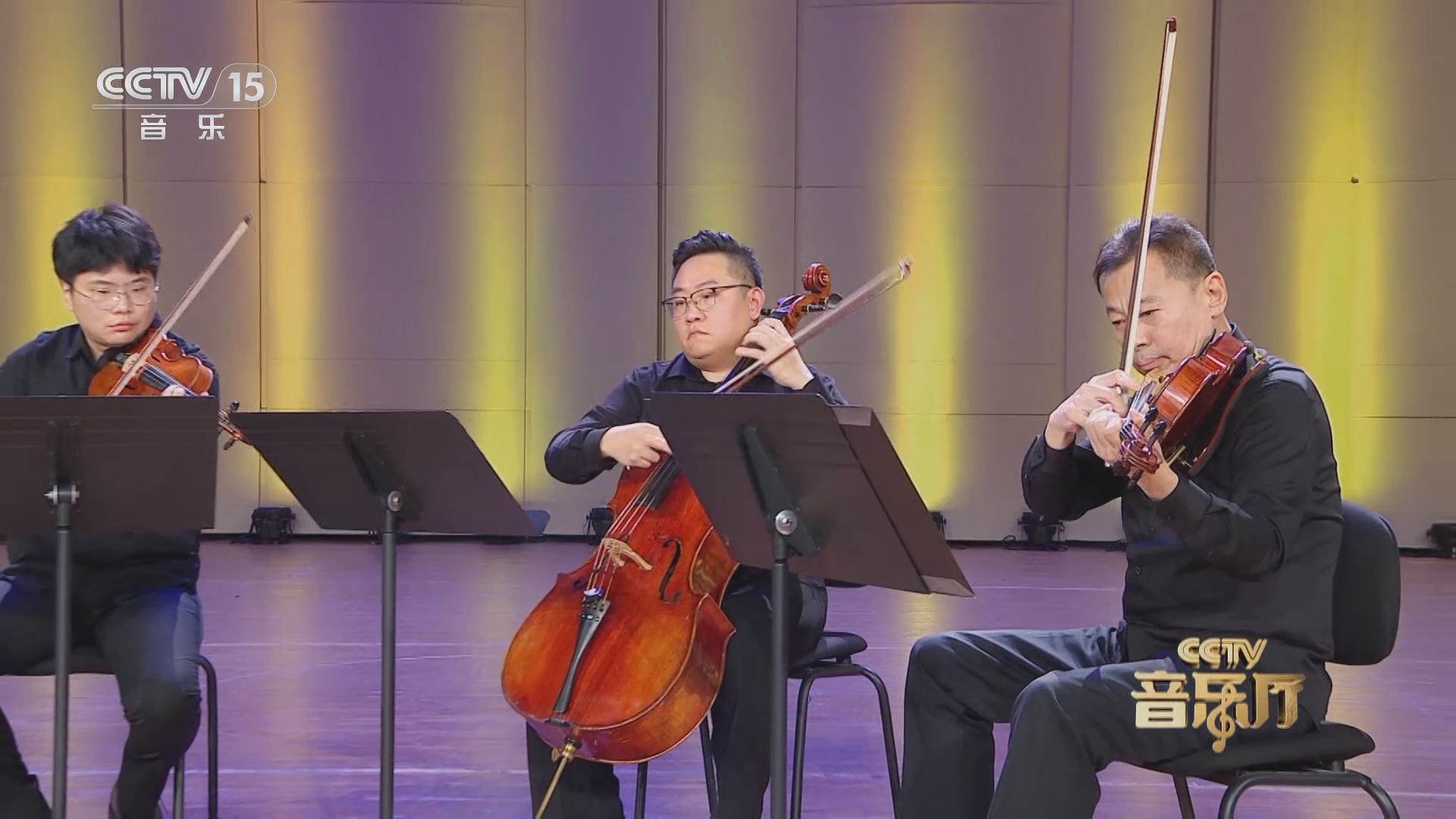 [cctv音乐厅]《红星歌》 作曲:傅庚辰 第一小提琴:姜帅 第二小提琴