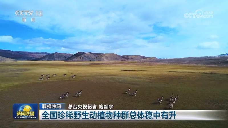 国内联播快讯