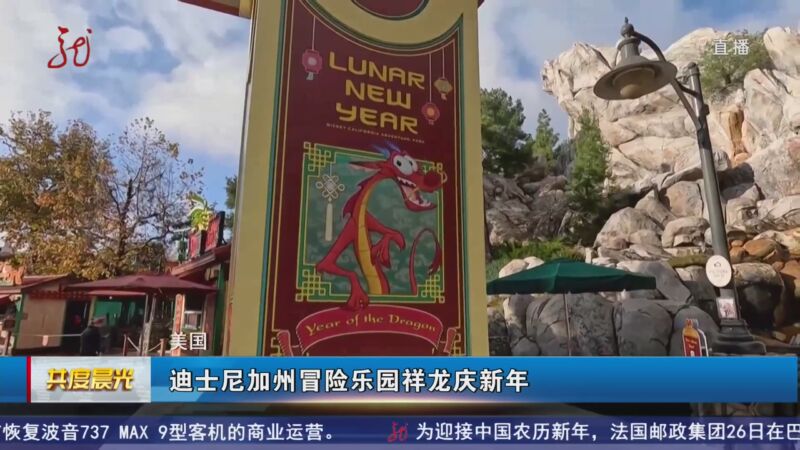 [共度晨光]美国 迪士尼加州冒险乐园祥龙庆新年
