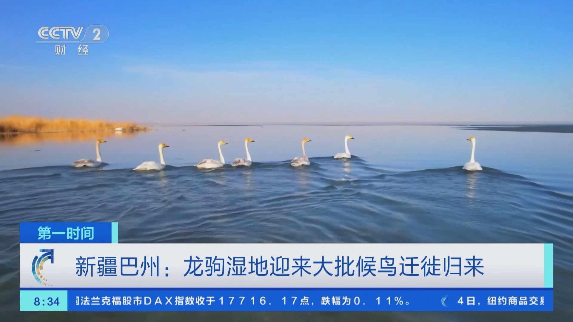 第一时间]新疆巴州：龙驹湿地迎来大批候鸟迁徙归来