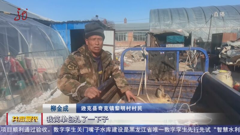 [共度晨光]逊克:受伤狍子进村 疑似"跨国旅客"