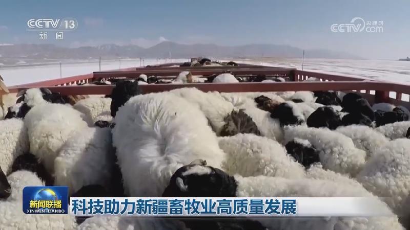 科技助力新疆畜牧业高质量发展
