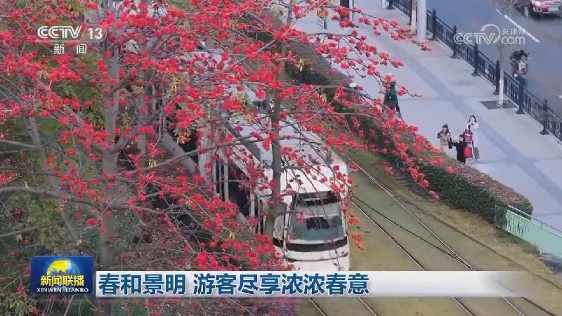 春和景明 游客尽享浓浓春意