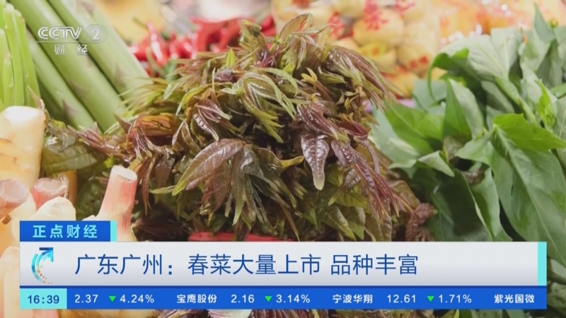 [正点财经]广东广州:春菜大量上市 品种丰富