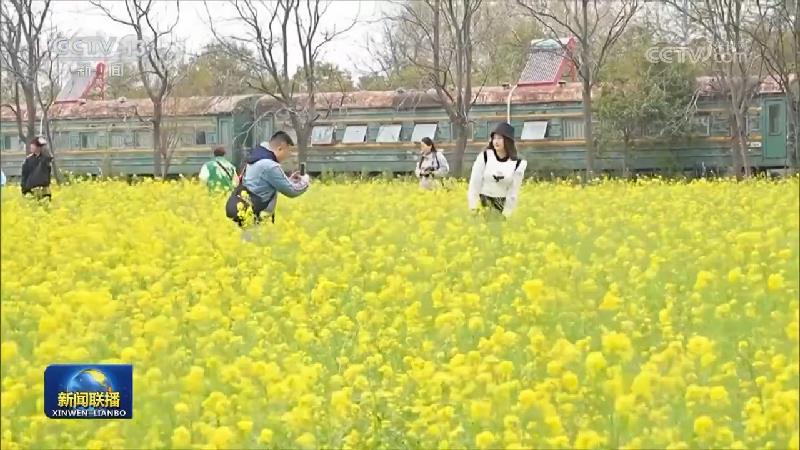 赏春光 品民俗 感受传统文化