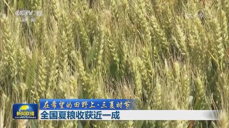 【在希望的田野上·三夏时节】全国夏粮收获近一成