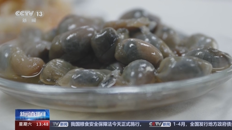 [新闻直播间]我的午餐·夏日"限定"美食 上海 醉制黄泥螺 鲜香味道醇