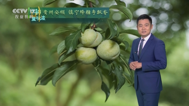 农业气象_cctv节目官网