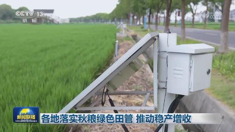 各地落实秋粮绿色田管 推动稳产增收
