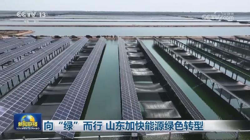 向“绿”而行 山东加快能源绿色转型