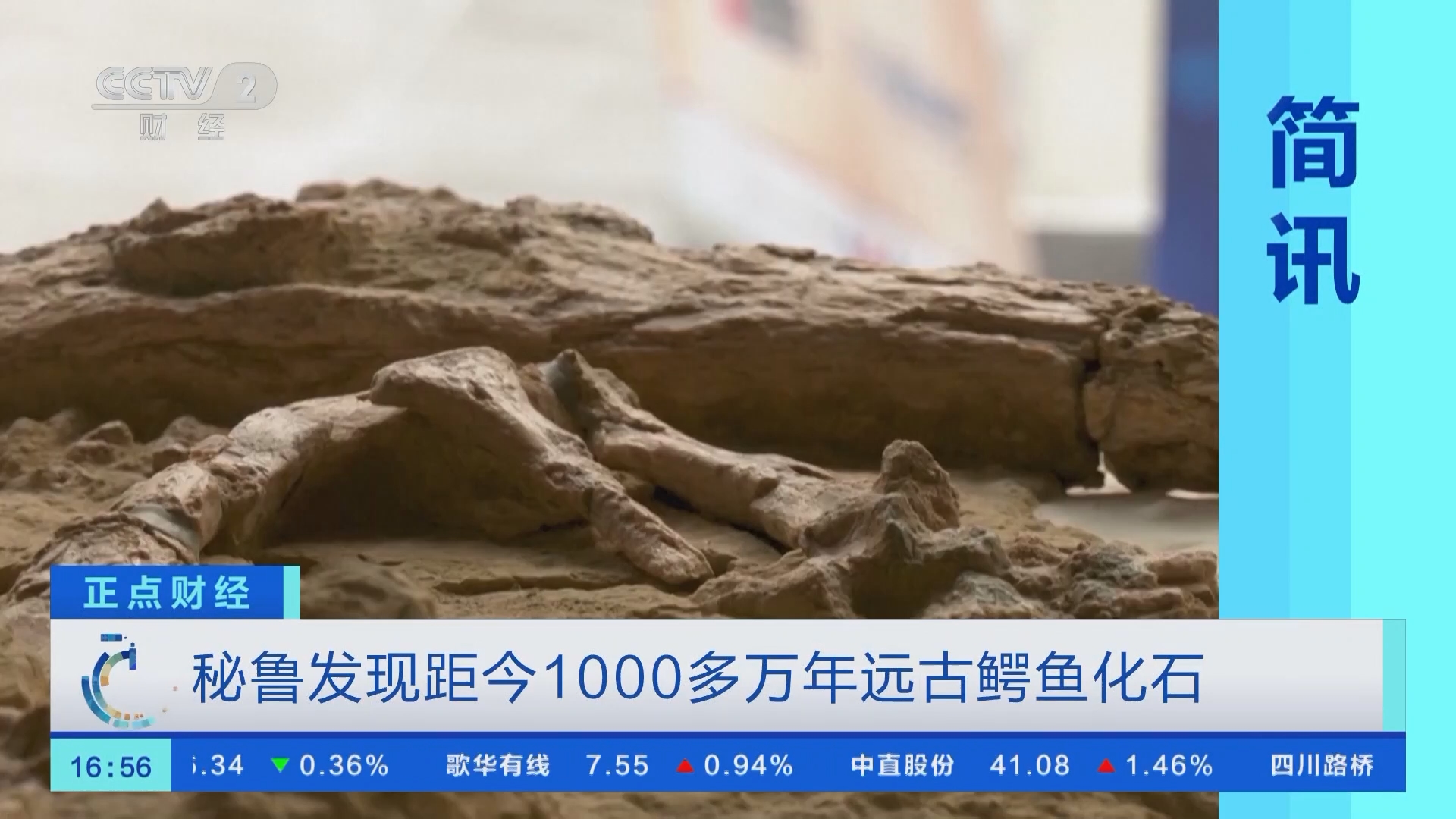 正点财经]秘鲁发现距今1000多万年远古鳄鱼化石