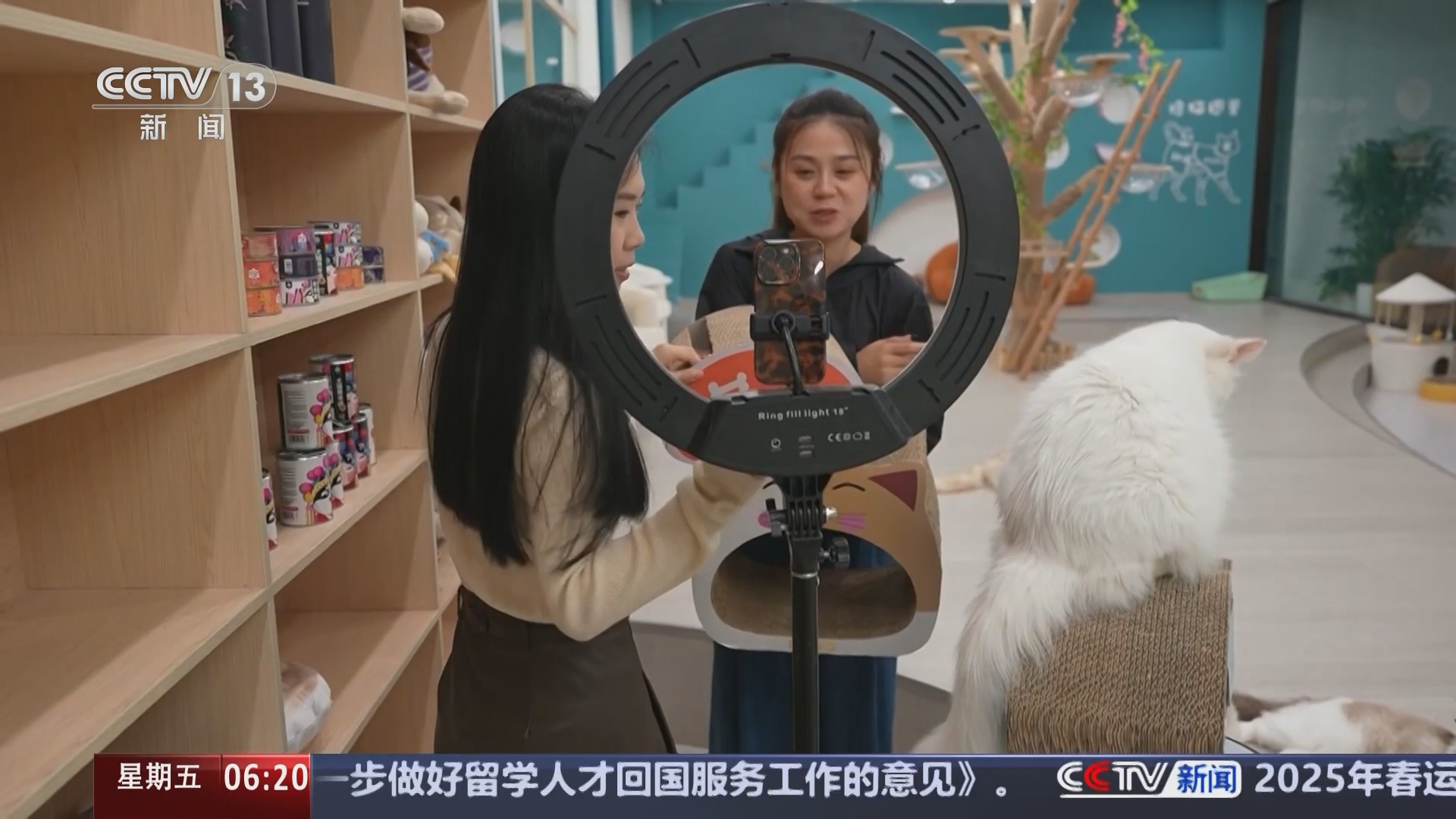 中央经济工作会议解读｜2025年实施适度宽松货币政策适时降准降息_经济频道_央视网(cctv.com)