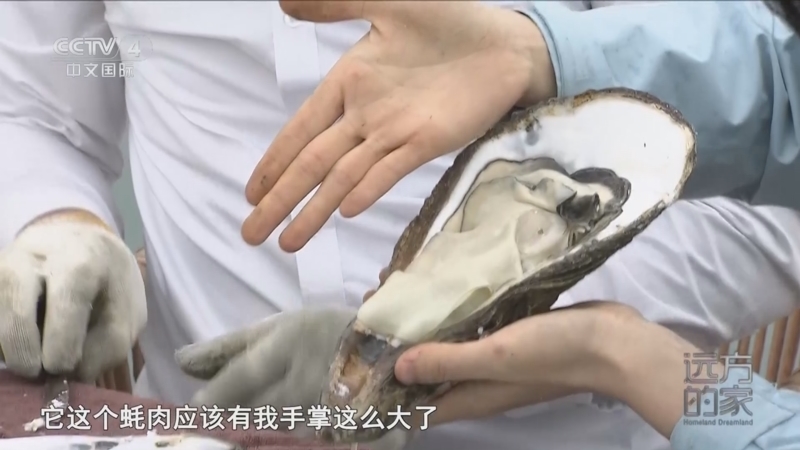 《远方的家》 20250124 山河中国韵 山海相伴 海陆双丰