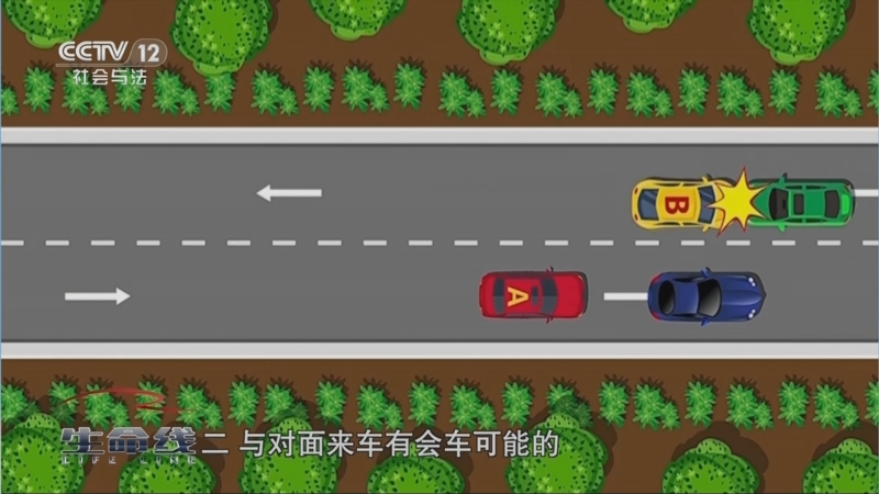 《生命线》 20250126 全民交通安全公开课 春节开讲了