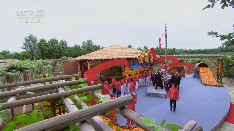 左各庄杆会 表演:河北省文安县左各庄镇