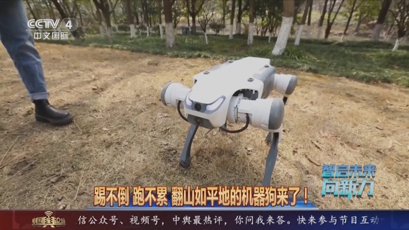 智启未来·向新力：走进杭州机器人公司