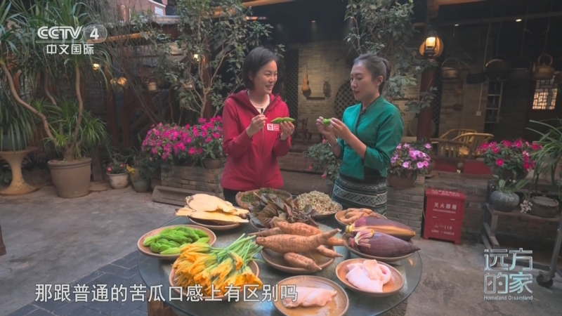 生态普洱 多彩茶乡 茶马古城 马帮美食