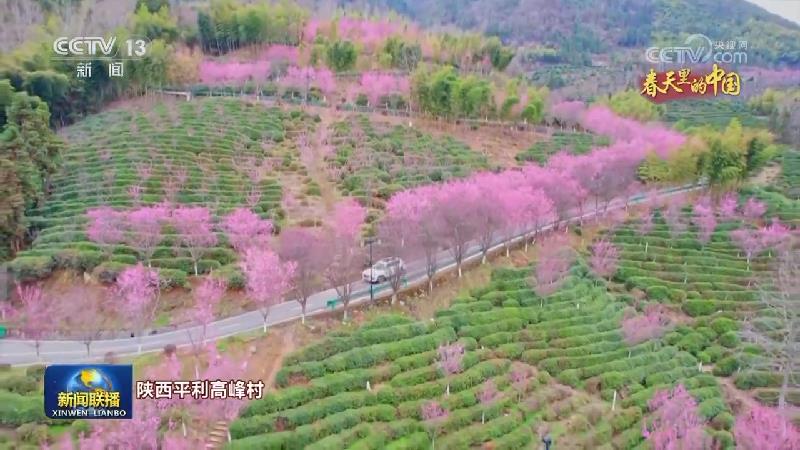 春天里的中国