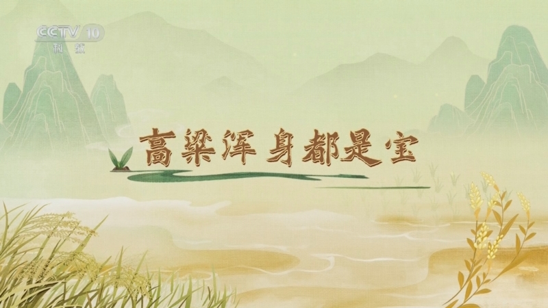 《百家讲坛》 20250429 食物的历史（第一部） 5 高粱浑身都是宝