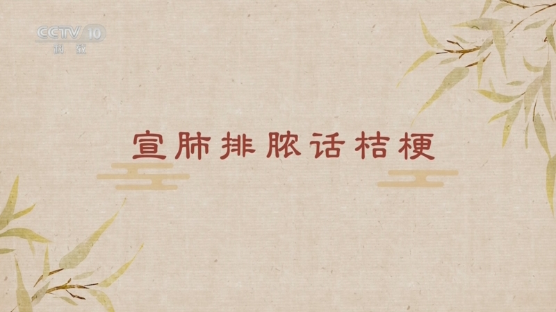 《百家讲坛》 20250515 舌尖上的养生（第二部） 11 宣肺排脓话桔梗