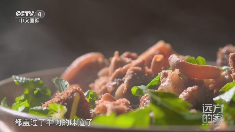 《远方的家》 20250516 山水云南 神奇画卷 魅力临沧