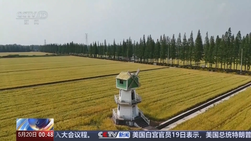 《午夜新闻》 20250520