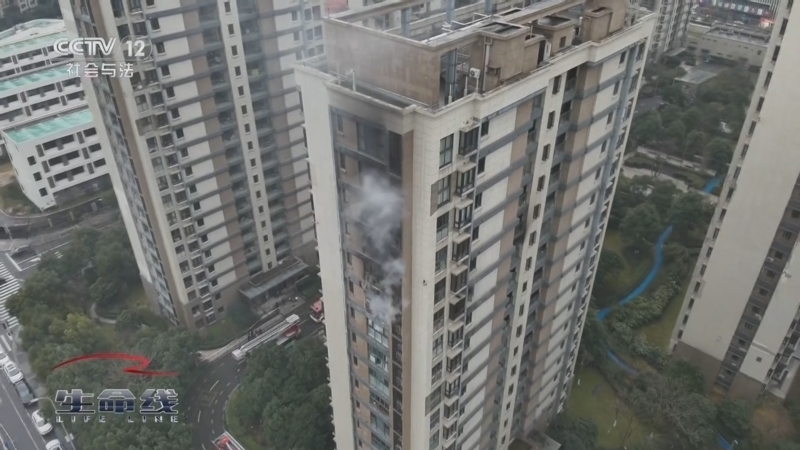 《生命线》 20250522