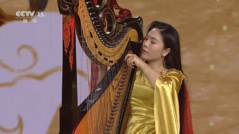 《风华国乐》 20250528