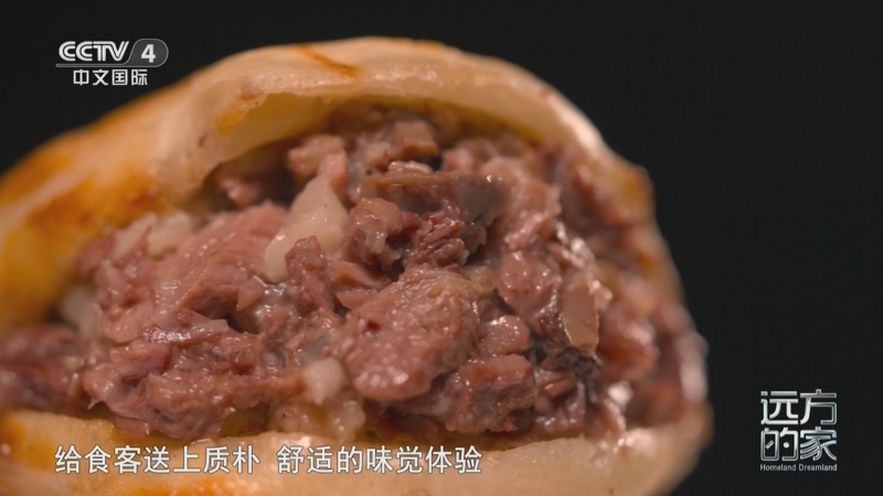 《远方的家》 20250606 远方的家 京畿重地 百馆之城