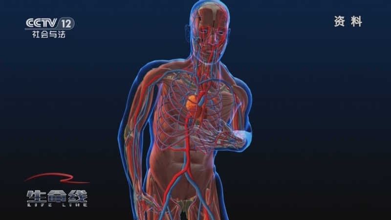 《生命线》 20250607 远离吧！肿瘤