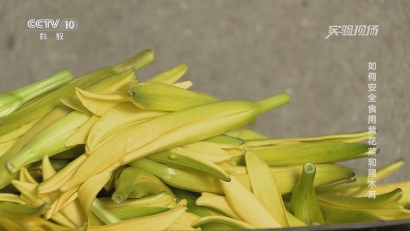 《实验现场》 20250621 如何安全食用黄花菜和黑木耳