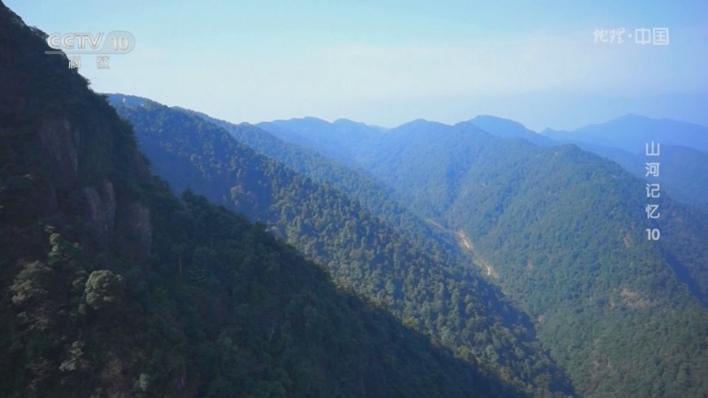 大柏地战斗是利用丘陵山地的地理优势获取胜利的战役