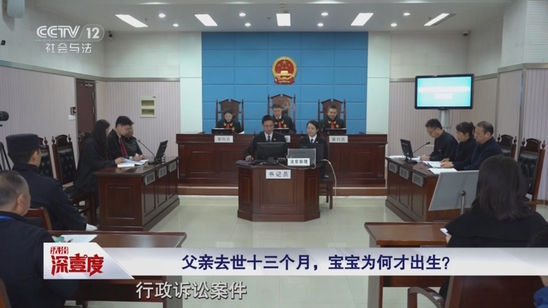 《法治深壹度》 20250809 当试管婴儿出生在父亲离世之后……