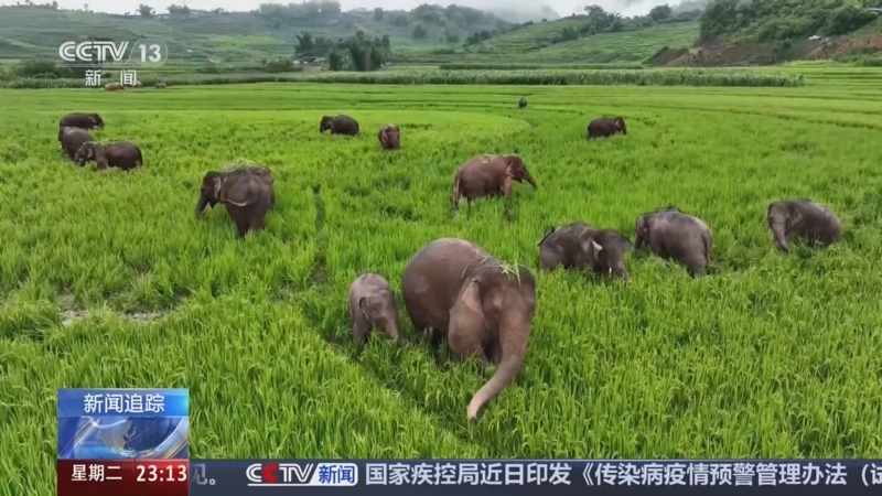 《24小时》 20250812