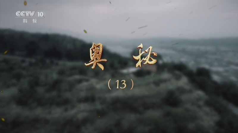《探索·发现》 20250815 奥秘（13）