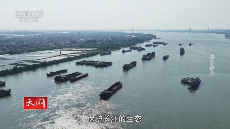 《天网》 20250815 热影船踪
