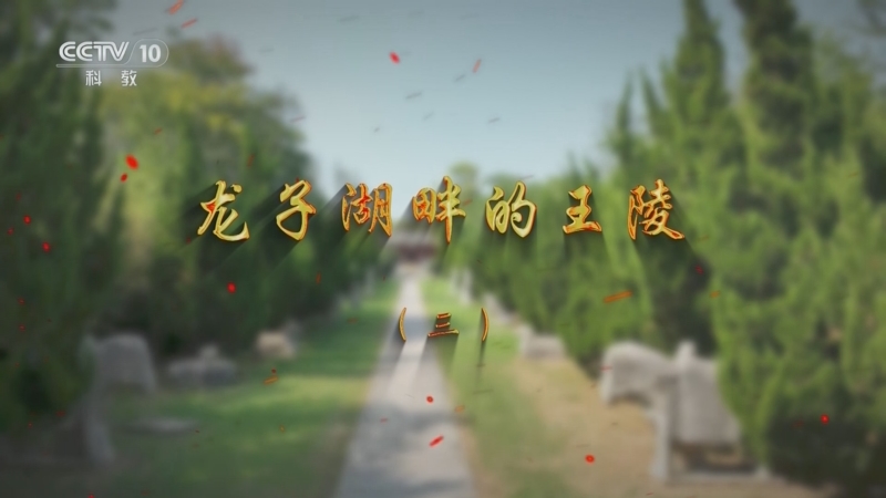 《探索·发现》 20250821 龙子湖畔的王陵（3）