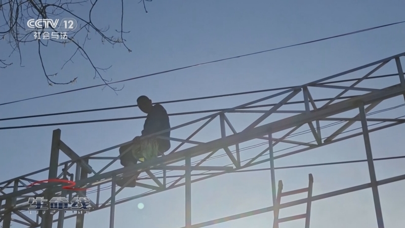 《生命线》 20250821