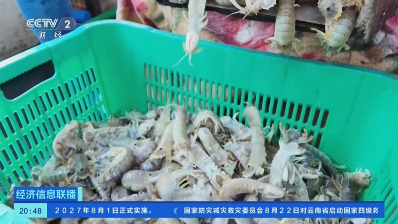 《经济信息联播》 20250823