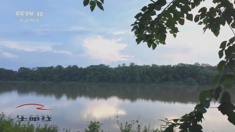 《生命线》 周末特别节目《应急时刻》 20250824