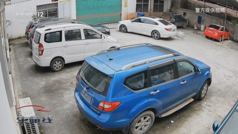 《生命线》 20250901