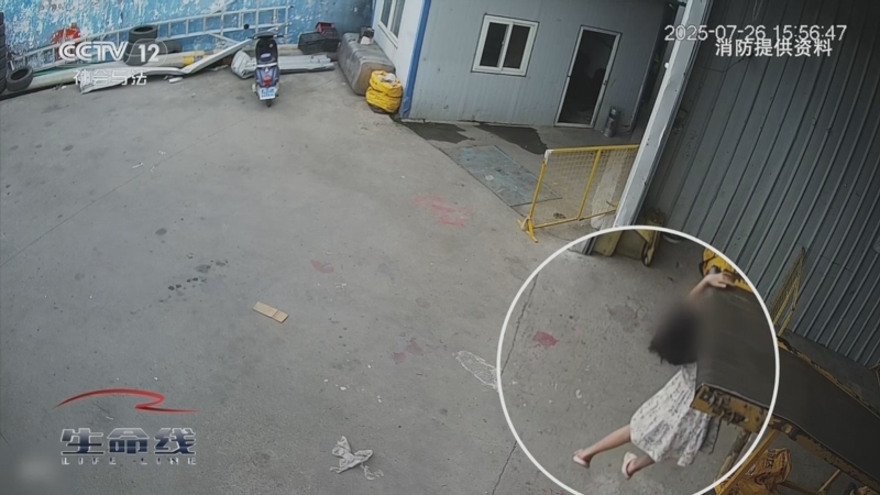 《生命线》 20250904