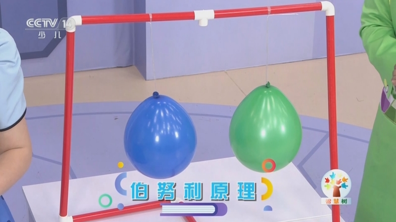 《智慧树》 20250905