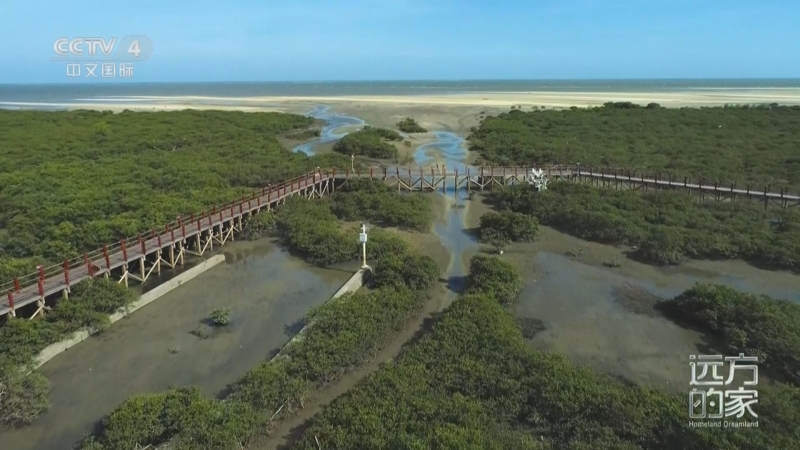 《远方的家》 20250916 山河锦绣看中国 广阔海洋 生命家园