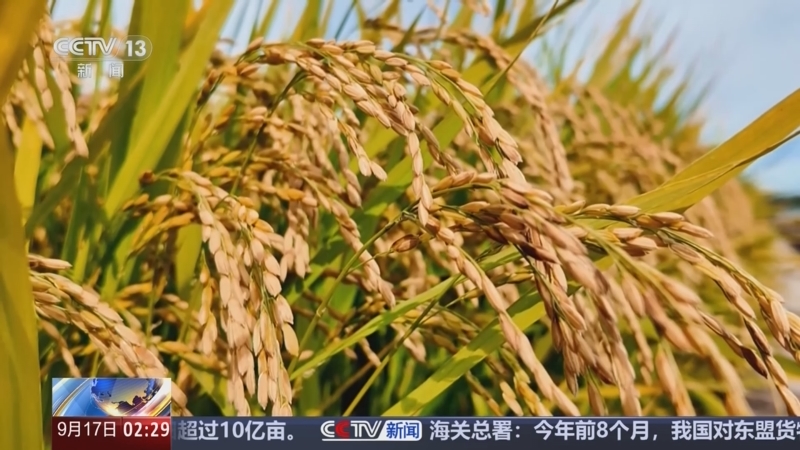 《新闻直播间》 20250917 02:00